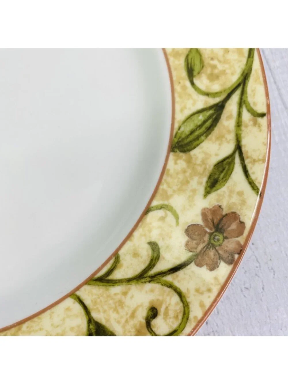 Royal Doulton  CINNABAR Fine China Floral Rim Chip Resistance Lunch Plate Set 4